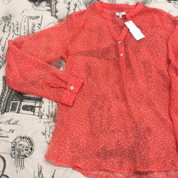 Casual Studio Sheer Polka Blouse - Picture 2 of 6